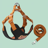 Outing Dog Leash Pet Strap