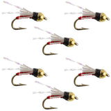 Beadhead Red 3 Dollar Dip Serendipity Nymph - 6 Flies Size 18