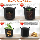3-Pack: Planter Bags Breathable Planting Fabric Pots with Harvest Window