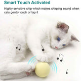 3-Pack: Realistic Chirping Balls Cat Toys