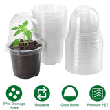 30-Pieces: Plant Nursery Pots PET Flower Seed Starting Pots Container with Dome Drainage Holes