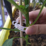 300-Pieces: Garden Plant Support Clips