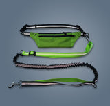 Dog collar without hands