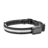 Fluorescent dog collar