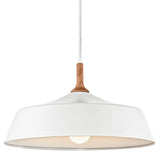 Kichler Lighting 43683WH Danika 1 Light 16 inch White Pendant Ceiling Light