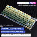 Tarantula Wireless Mechanical Keyboard Side Engraved Three-mode Bluetooth