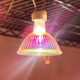 12V 50W Halogen White Light MR16 Lamp
