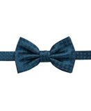 Ryan Seacrest Distinction Mens Boysen Pre-Tied Silk Bow Tie