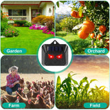 4-Piece: Solar Predator Control Light