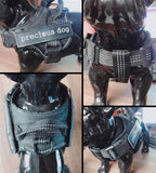 Pet harness
