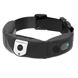 C10 Smart Pet Collar Monitoring Health Multifunctional