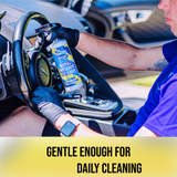 Total Interior Cleaner With Added Protection (16 Fl oz)