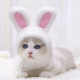 Fashion Warm Rabbit Ears Pet Hat