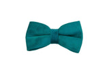 Peacock Blue Velvet Pet Neck Alloy Buckle Collar