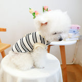 Clothing Traction Vest Pet Dog