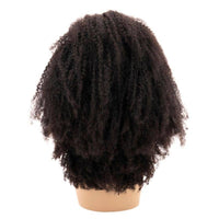 Afro Kinky Curly 4x4 Transparent Lace 100% Human Hair Closure Wig