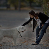 5 Ft. Dog Leash with Foam Handle