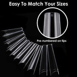 Brand 7DAY'S 500Pcs False Nail Tips C Curve Half Cover French Nails Extra Long Fake Finger Nails For Nail Art Salons Home DIY 10 Sizes