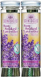 Scentsicles White Winter Fir Scented Christmas Tree Ornaments - 2 Bottles (12 Sticks Total)