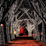 55' Solar-Powered 100-LED Fairy Light String - Warm White