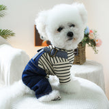 Pet Clothes Dog Four Feet Heart Vintage