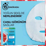 Garnier SkinActive Hydra Bomb Revitalizing Pomegranate Hydrating Facial Sheet Mask - Intense Skin Hydration & Revitalization for Dry Skin