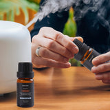 6-Pack: Gentlemen's 10ml Premium Grade Fragrance Essential Oil Gift Set