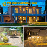 6-Pack: Solar Powered Stake Light IP65 Waterproof Auto On Off