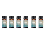 6-Pack: Summer Vibe Fresh Scented Aromatherapy Essential Oil For Diffusers Humidifiers