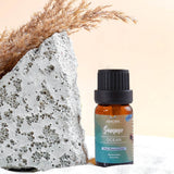 6-Pack: Summer Vibe Fresh Scented Aromatherapy Essential Oil For Diffusers Humidifiers
