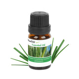 6-Pack: Therapeutic Aromatherapy Essential Oils Bottle