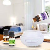 6-Pack: Therapeutic Aromatherapy Essential Oils Bottle