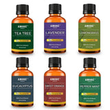 6-Piece: Aromatherapy Therapeutic Grade Essential Oils Gift Set