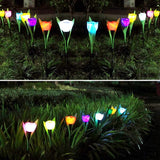 6-Pieces: Solar Garden Tulip Flower Lights