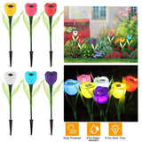 6-Pieces: Solar Garden Tulip Flower Lights