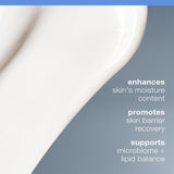 Dermalogica Intensive Moisture Balance Moisturizer for Dry Skin - Natural Skincare with Hyaluronic Acid & Prebiotic Complex