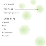 Skinceuticals Phyto Corrective Serum - Soothing, Hydrating Skincare for Sensitive Skin
