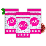 PUR Gum | Aspartame Free Chewing Gum | 100% Xylitol | Natural Spearmint Flavored Gum, 55 Pieces (Pack of 3)