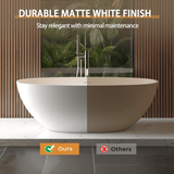 65" Luxury Freestanding Soaking Bathtub With Overflow And Pop-Up Drain (SAK69451)
