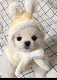 Pet clothes keep warm