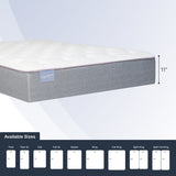 Club Signature II Plush (FLOOR SAMPLE)