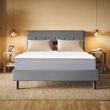 Club Signature IV Pillow Top (FLOOR SAMPLE)
