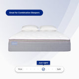 Club Signature IV Pillow Top (FLOOR SAMPLE)