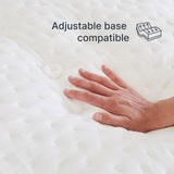Cosmos Firm (FLOOR SAMPLE)