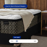 Wildwood Extra Firm (FLOOR SAMPLE)