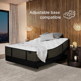 Chester Luxetop Firm (FLOOR SAMPLE)