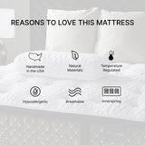 Westchester Luxetop Plush (FLOOR SAMPLE)