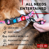 Nylon Dog Leash for Small Dogs Medium Dogs 4 Ft x 4/5 inch Wide Unicorns Color