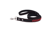 Stainless Steel Iron Dog Collar with Laser Lettering
