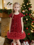Tutu.kk Toddler Girls Sequin Dress A-Line Sparkly Sleeveless Wedding Gown Party Dresses for Girls